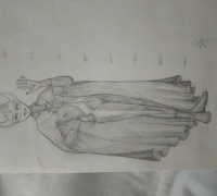 【all泰罗】打个招呼吧