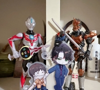 凯伽shf